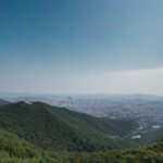 광주 출장과 여행 사이, 체인 멤버십으로 가치를 더하는 숙소 선택법 홀리데이 인 광주 광주